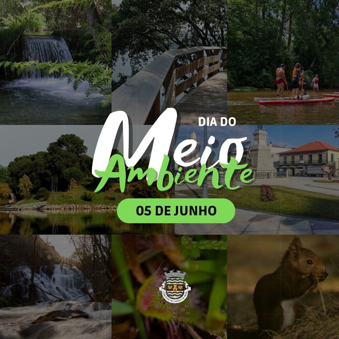 Castelo De Paiva Celebrou O Dia Mundial Do Meio Ambiente Jornal TVS