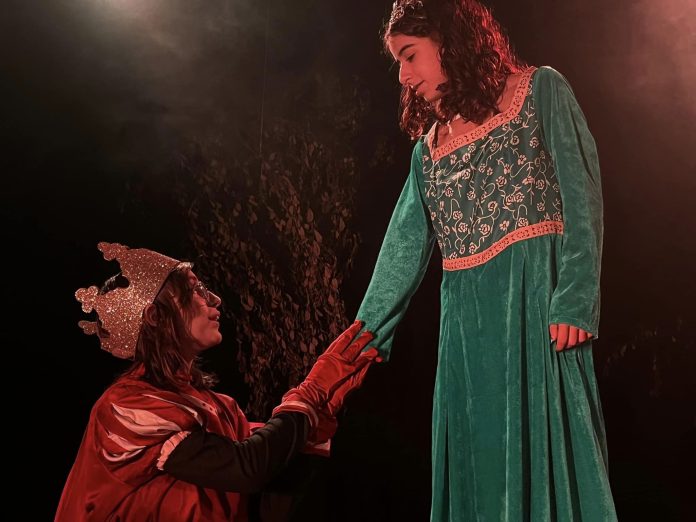 Ruínas Teatro Apresenta Espetáculo “Shrek” em Lousada