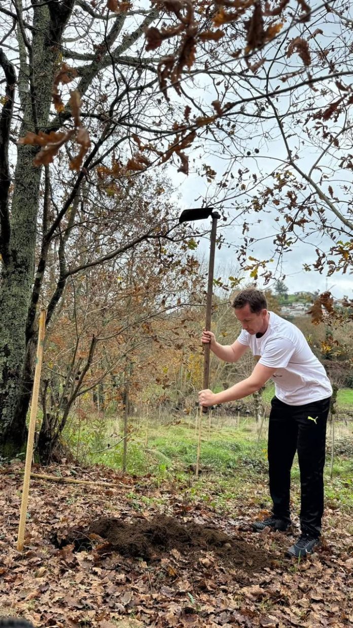 Lousada-aposta-na-reflorestacao-com-meta-de-250-mil-arvores