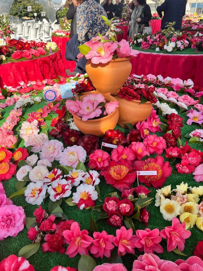 637851649_1433057182169060_9168871450319684005_n