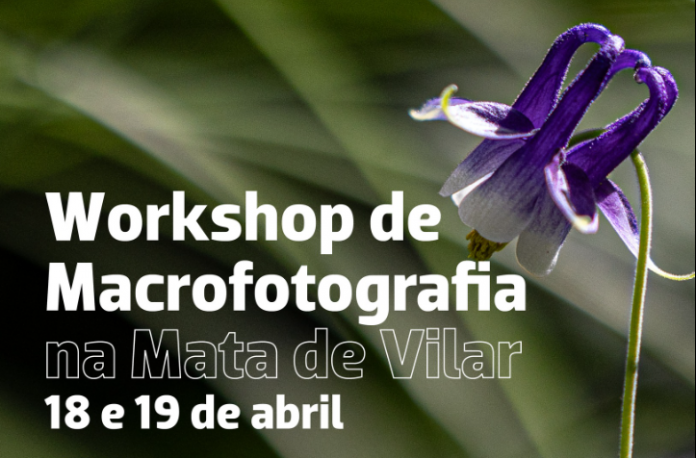 Captura de ecrã 2026-04-14 194432