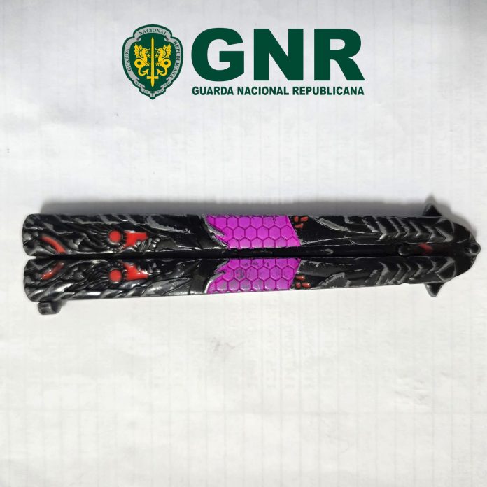 GNR Porto - Apreensão